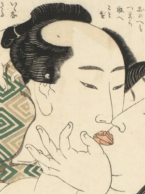 Fukujusõ (Adonis Flower)