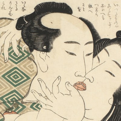 Fukujusõ (Adonis Flower)