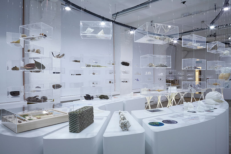 'Exploration Architecture: Designing with Nature' at the Architecture Foundation.