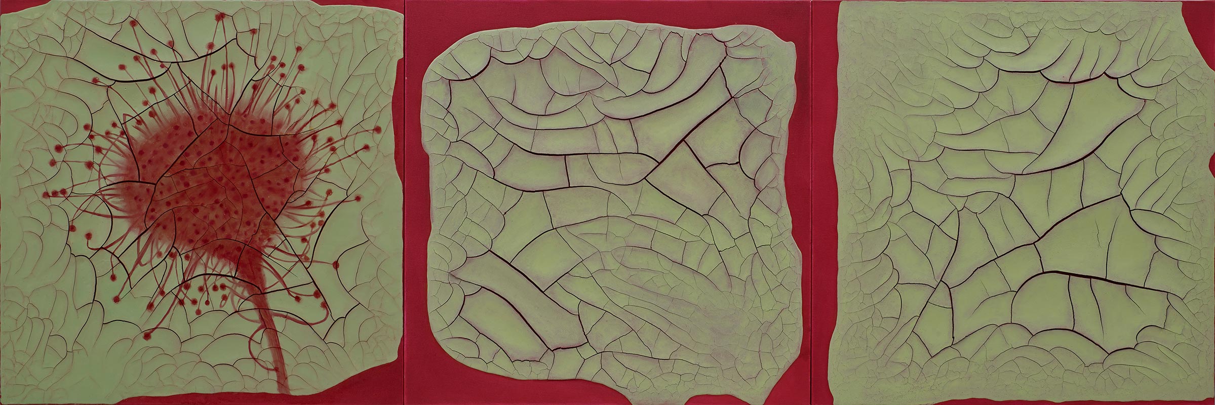 (2012), Adriana Varejão