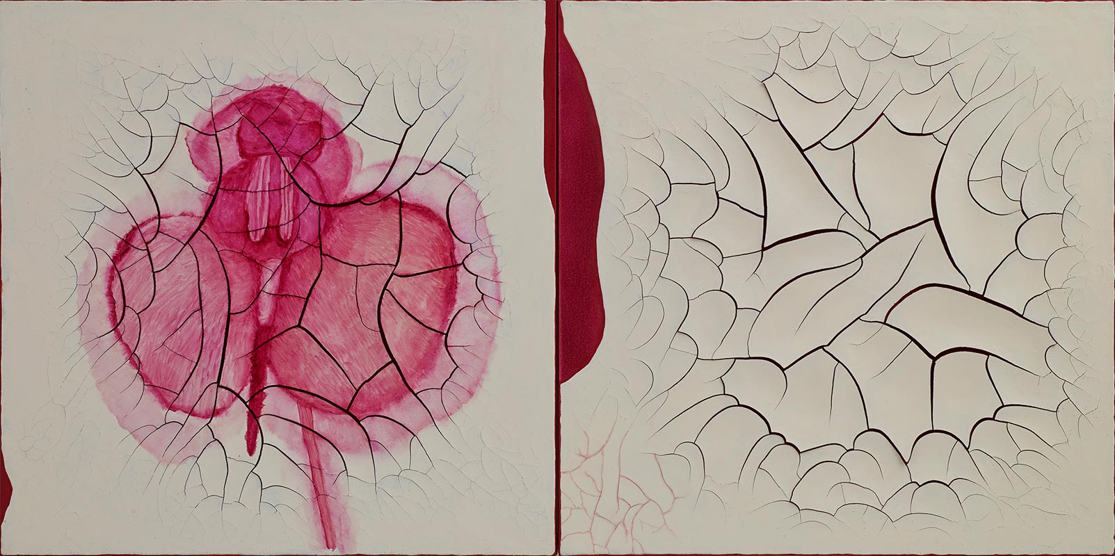 (2012), Adriana Varejão.