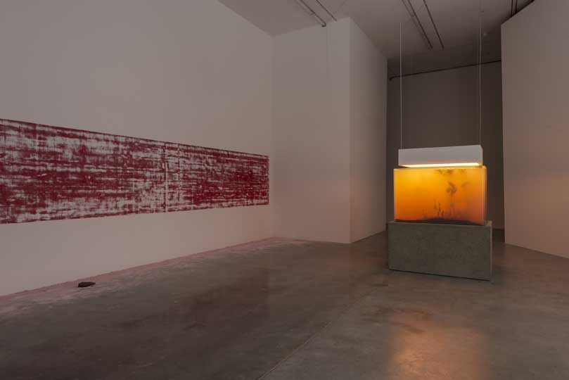 Installation view