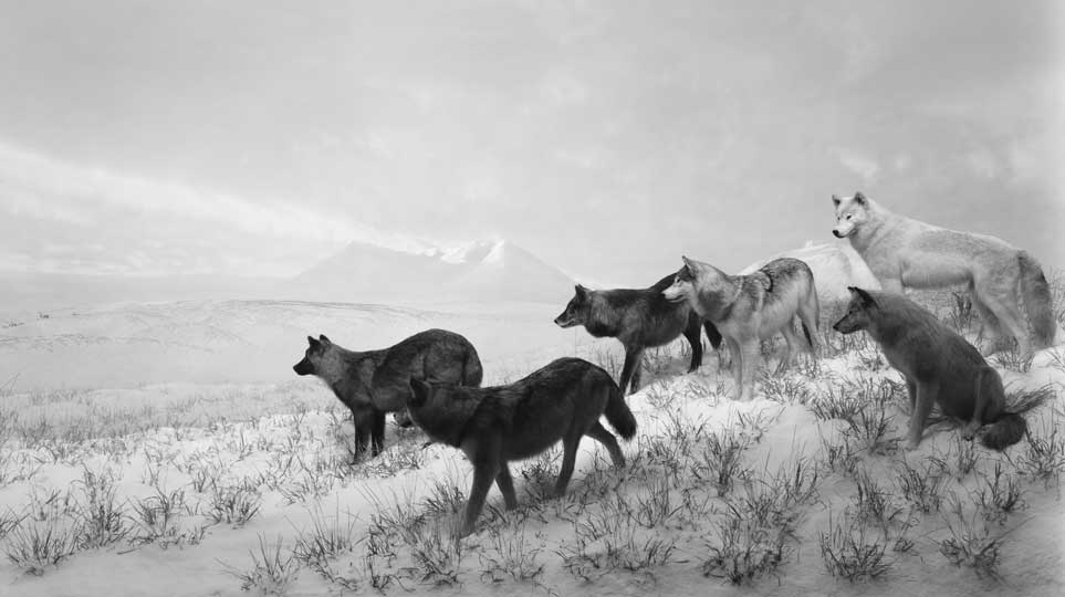 (1994), Hiroshi Sugimoto