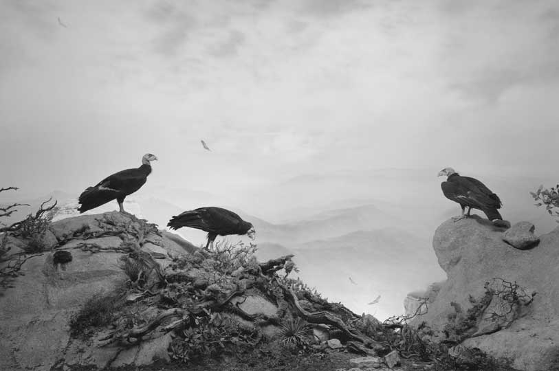 (1994), Hiroshi Sugimoto