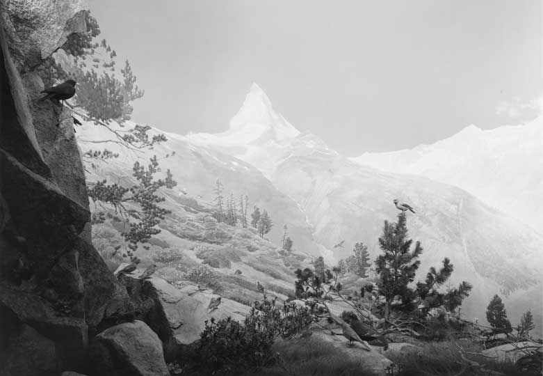 Review: ‘Hiroshi Sugimoto: Still Life’ at Pace Gallery, London