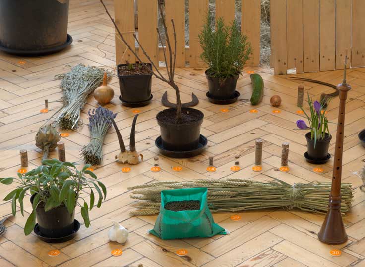 Revolutionary whimsy: ‘Ruth Ewan: Back to the Fields’ at Camden Arts Centre
