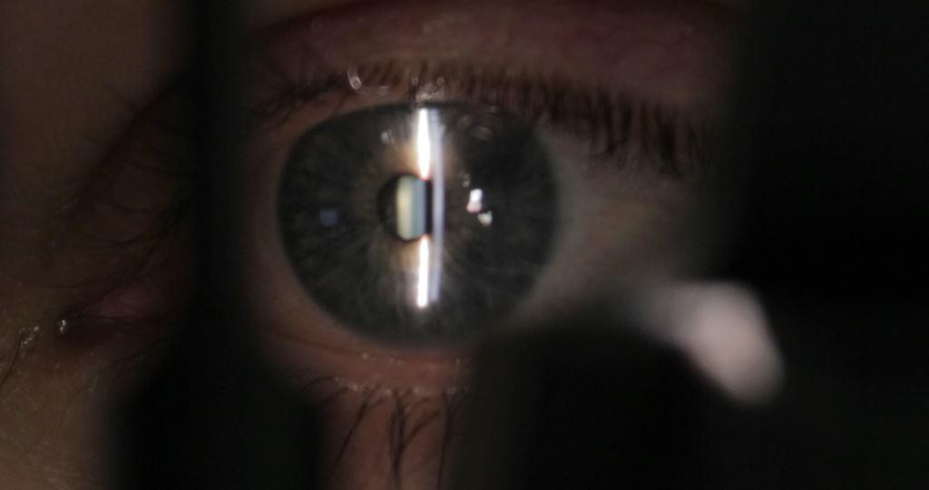 Still from the film ‘Unseen: The Lives of Looking’, Dryden Goodwin, 2015