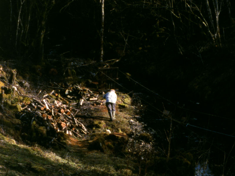 (2008), Ben Rivers.