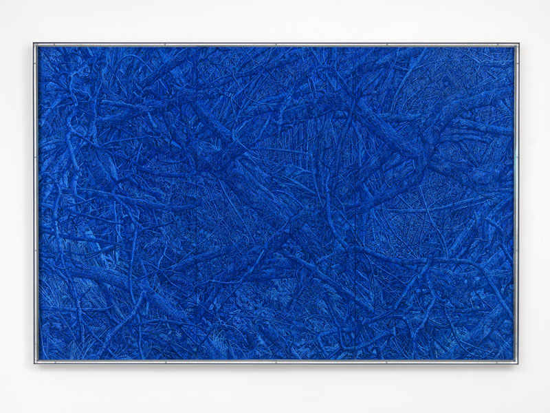 ‘Watching this chaos unfurl’: Interview with Joanna Kirk