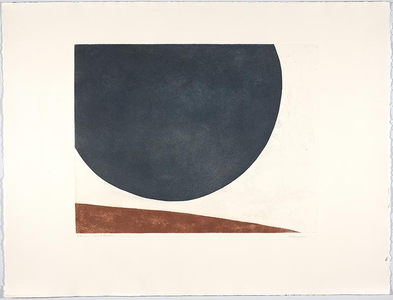 (1976), Anna-Eva Bergman