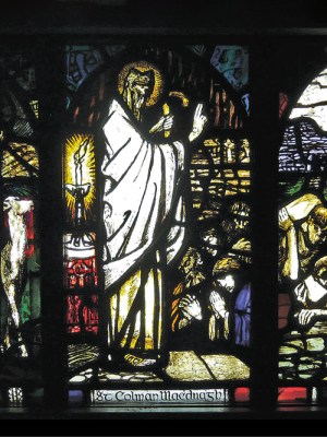 Scenes from the Life of St Colman MacDuagh of Galway