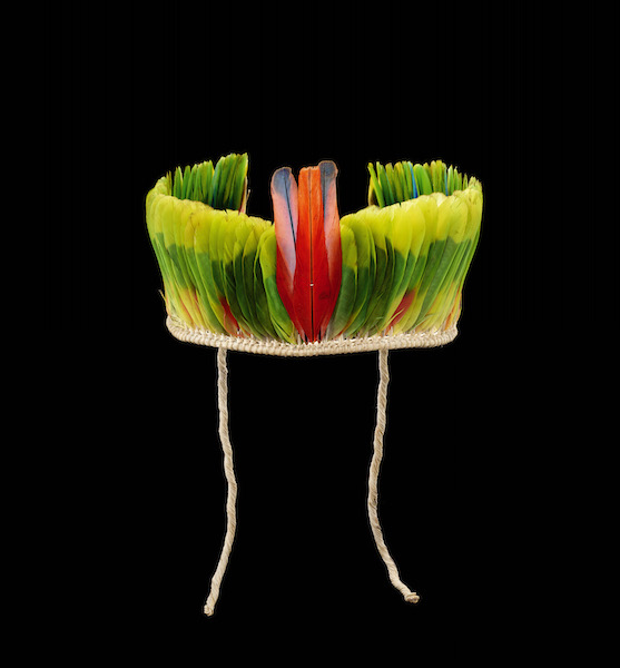 Male crown
