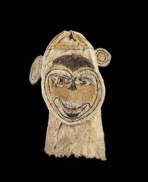 Mask hood