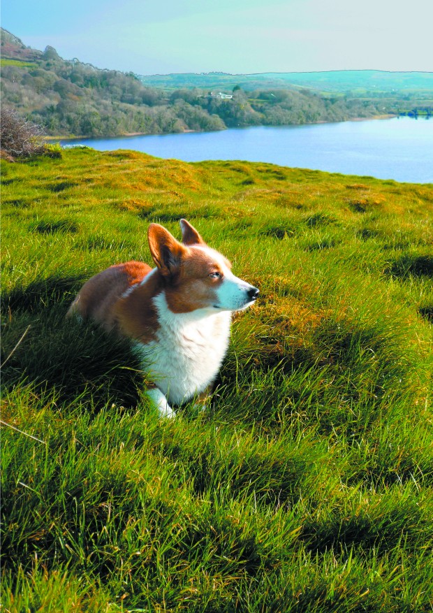 Michel Houellebecq’s new exhibition is extremely terrible and utterly compelling