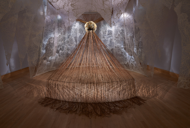 Installation view of Haruspex