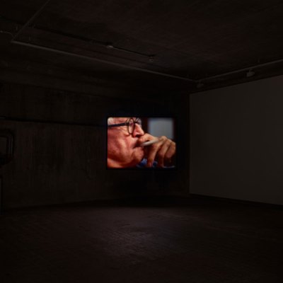 Portraits (2016), Tacita Dean