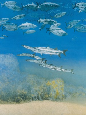 School IV: Barracuda under Skipjack Tuna (1978), Michael Andrews