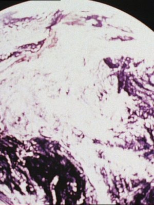 Erth, (1971), John Latham.