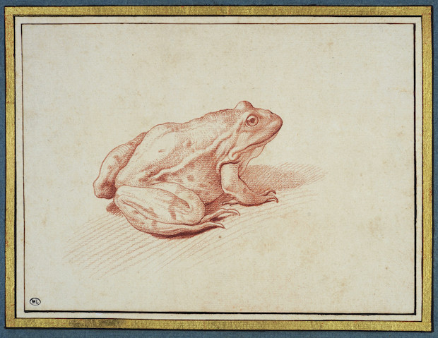 Frog, Edme Bouchardon (1698 - 1762). Image © 2009 Musée du Louvre / Suzanne Nagy