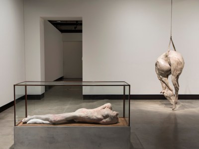 'Lange eenzame man' (2010) (left) and P XIII (2008) (right), Berlinde De Bruyckere, installation view, Mona. Photo: Mona/Rémi Chauvin