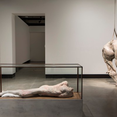 'Lange eenzame man' (2010) (left) and P XIII (2008) (right), Berlinde De Bruyckere, installation view, Mona. Photo: Mona/Rémi Chauvin