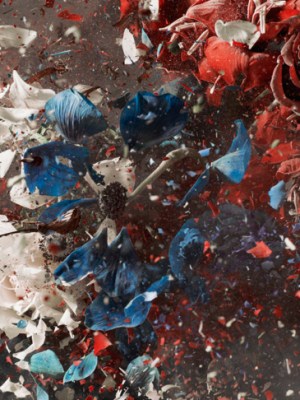 Blow Up, Untitled 19 (detail) (2007), Ori Gersht. Ben Brown Fine Arts, around $55,000