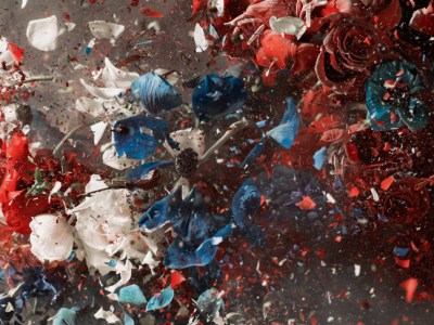 Blow Up, Untitled 19 (detail) (2007), Ori Gersht. Ben Brown Fine Arts, around $55,000