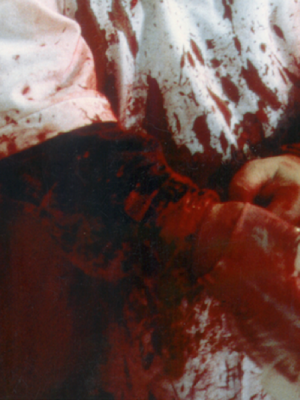Hermann Nitsch (detail)