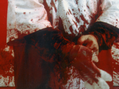 Hermann Nitsch (detail)