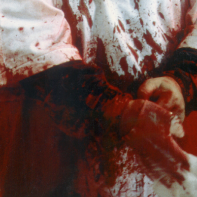 Hermann Nitsch (detail)