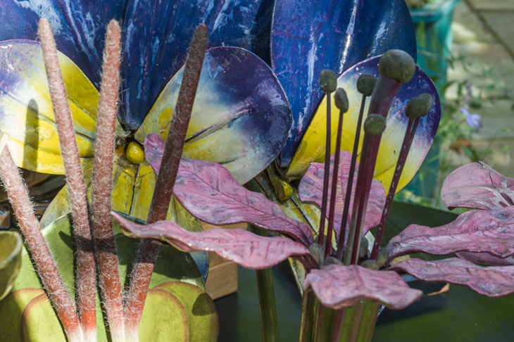 Paper plants and wax peaches at the Manchester Museum