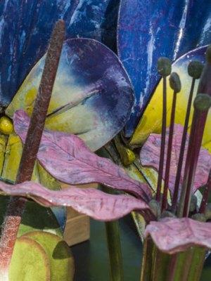 Botanical models from 'Object Lessons' at Manchester Museum