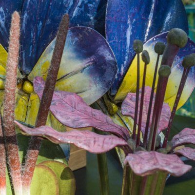 Botanical models from 'Object Lessons' at Manchester Museum