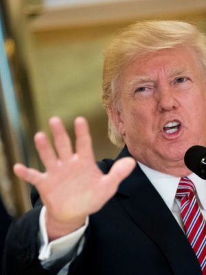 US President Donald Trump has proposed cutting funding to the NEA and NEH - again.