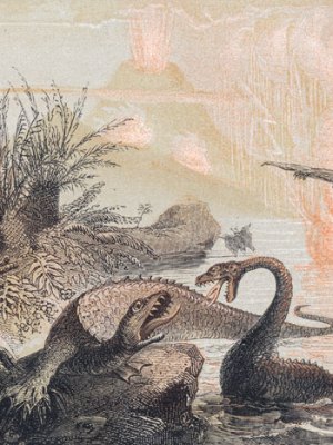 The Primitive World (1857), Adolphe François Pannemaker. Courtesy of TASCHEN
