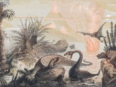 The Primitive World (1857), Adolphe François Pannemaker. Courtesy of TASCHEN