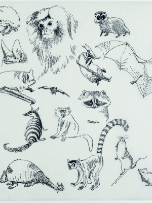 Preliminary sketches for Alice i Underlandet (1966), Tove Jansson