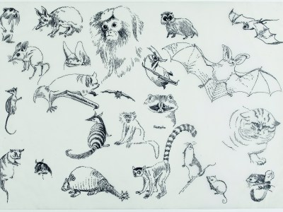 Preliminary sketches for Alice i Underlandet (1966), Tove Jansson