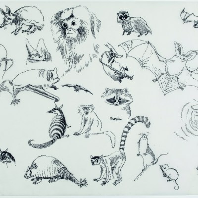 Preliminary sketches for Alice i Underlandet (1966), Tove Jansson