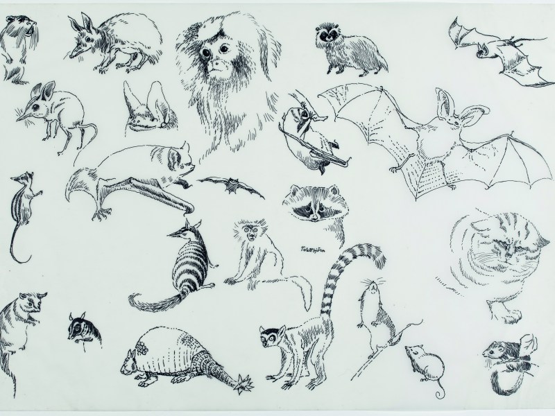 Preliminary sketches for Alice i Underlandet (1966), Tove Jansson