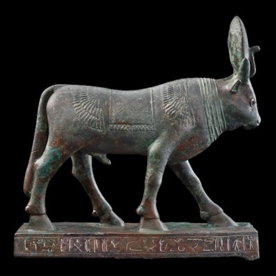 Inscribed Apis Bull, Late Period, 26th–30th Dynasty, c. 664–343 BC, Egyptian. Ariadne Galleries