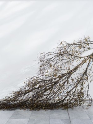 Mattias Härenstam, Lorck Schive Kunstpris 2017. Photo: TKM/ Susann Jamtøy