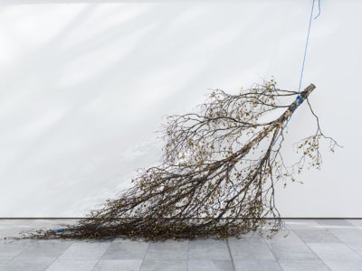 Mattias Härenstam, Lorck Schive Kunstpris 2017. Photo: TKM/ Susann Jamtøy