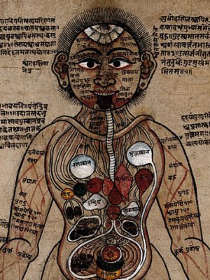 The Ayurvedic Man (18th century), Nepal. Wellcome Collection, London