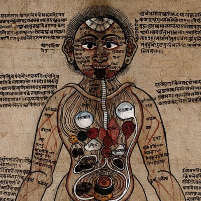 The Ayurvedic Man (18th century), Nepal. Wellcome Collection, London