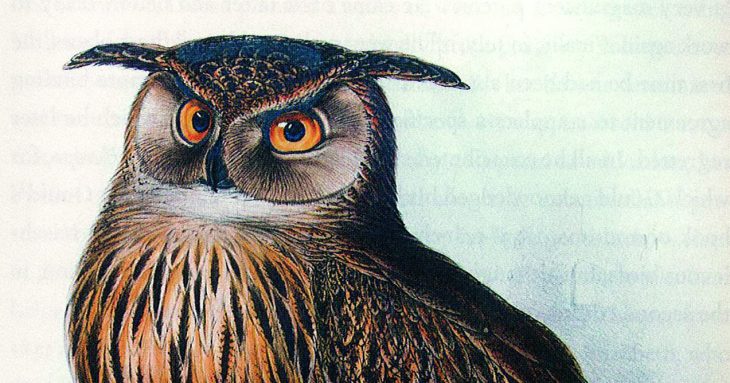 The many moods of Edward Lear