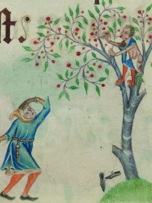 Detail from folio 196v of the Luttrell Psalter, (c. 1325–40), unknown artist; patron: Geoffrey Luttrell, British Library, London, photo: © British Library Board