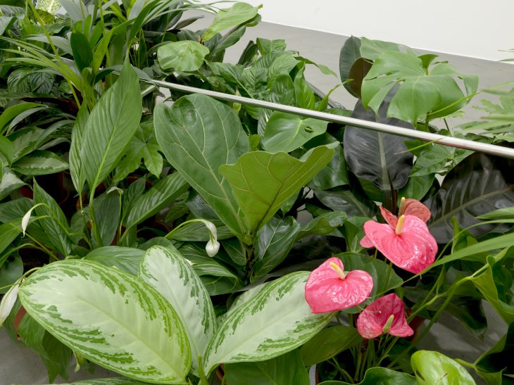 A potted guide to Luciano Fabro