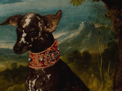 An exotic dog, the Mexican Xoloitzcuintli (c. 1580–1600), Prague School.