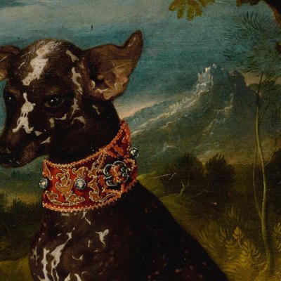An exotic dog, the Mexican Xoloitzcuintli (c. 1580–1600), Prague School.